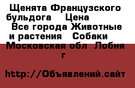 Щенята Французского бульдога. › Цена ­ 45 000 - Все города Животные и растения » Собаки   . Московская обл.,Лобня г.